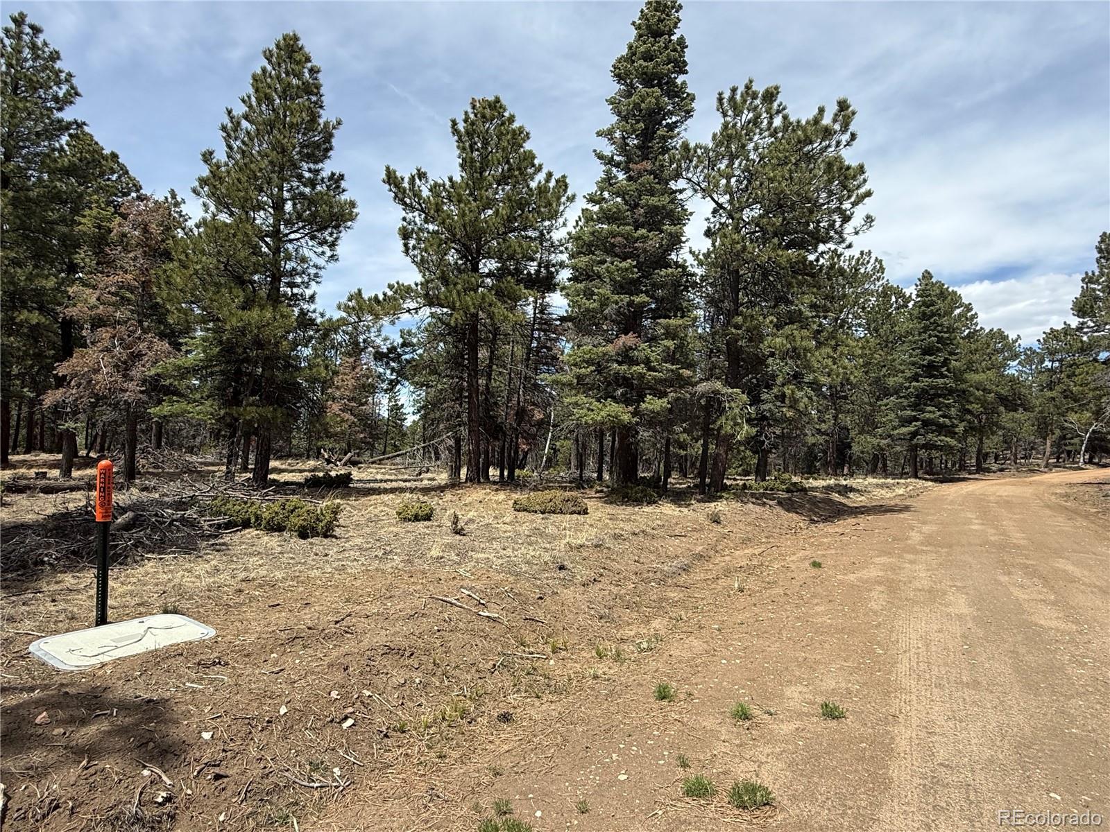 MLS Image #35 for 153  tahmoush lane,fort garland, Colorado