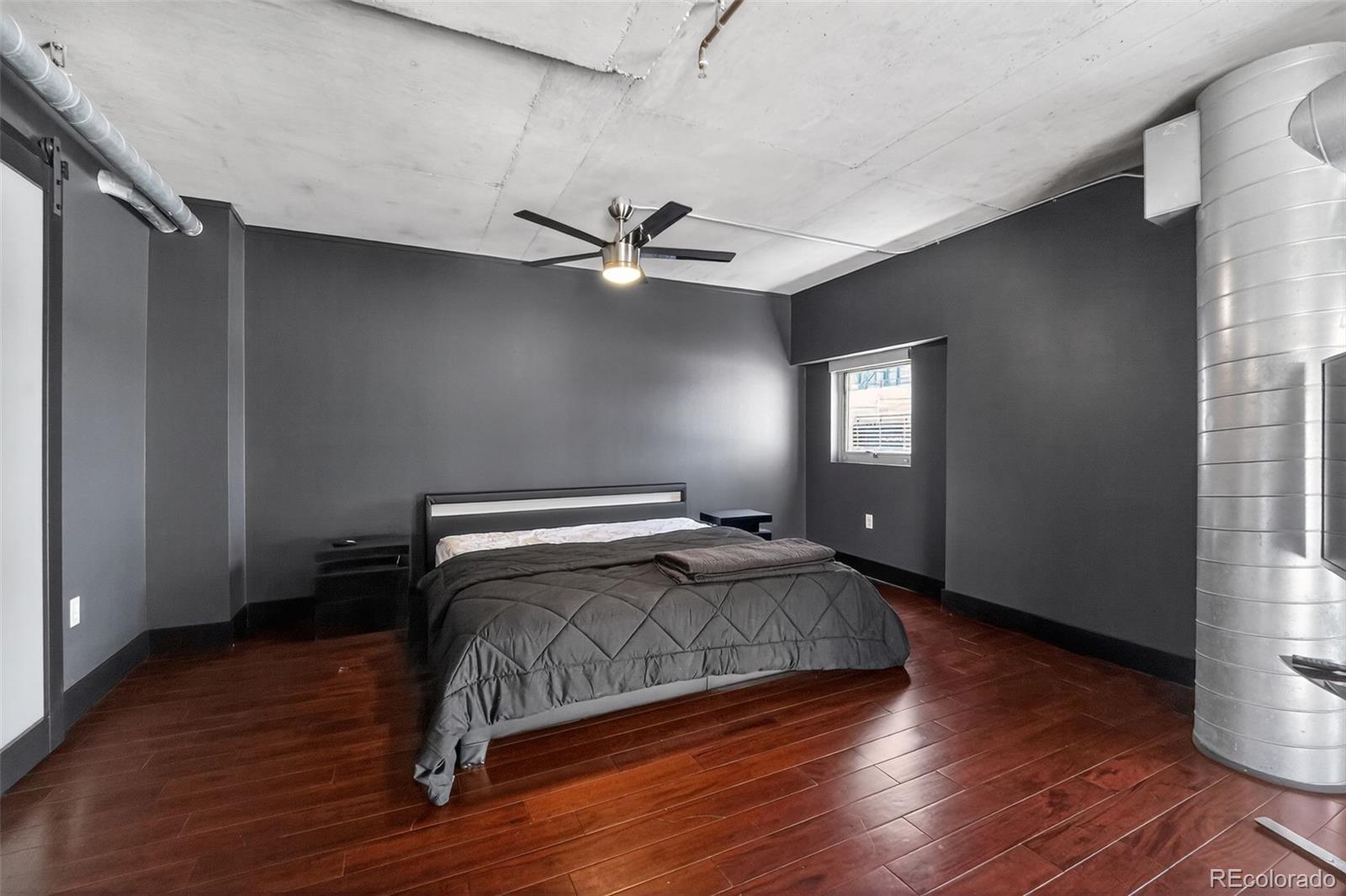MLS Image #18 for 1050  cherokee street,denver, Colorado