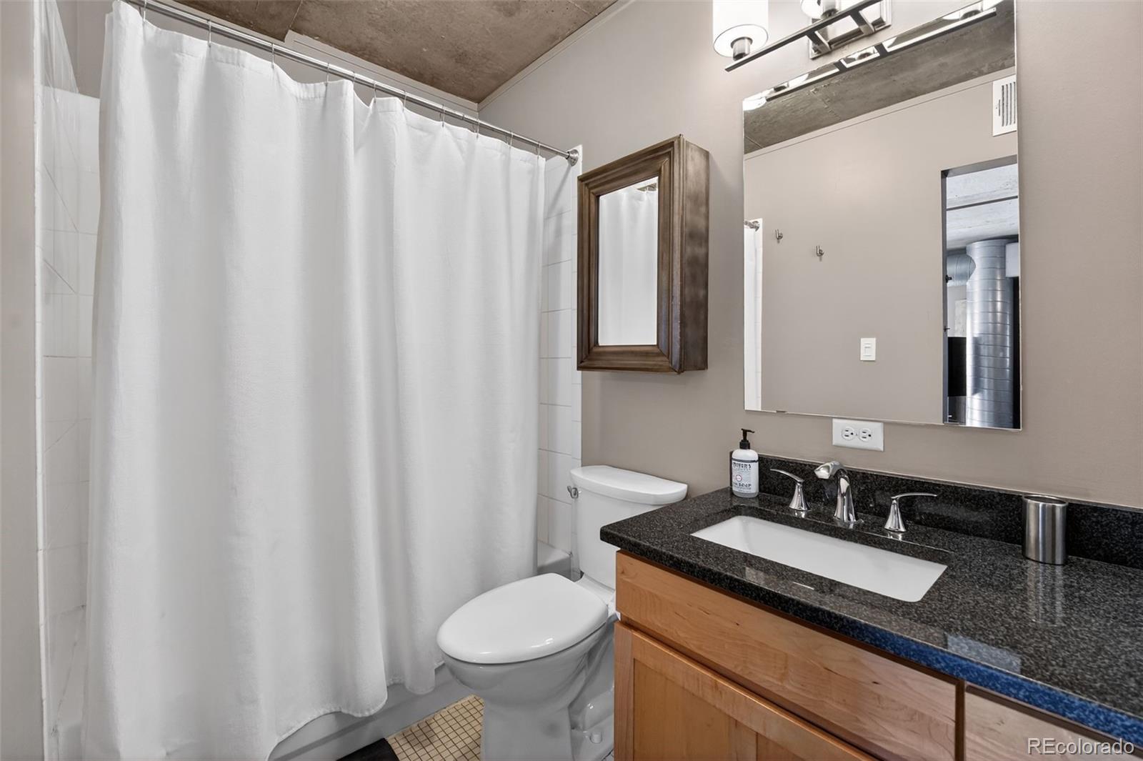 MLS Image #22 for 1050  cherokee street,denver, Colorado