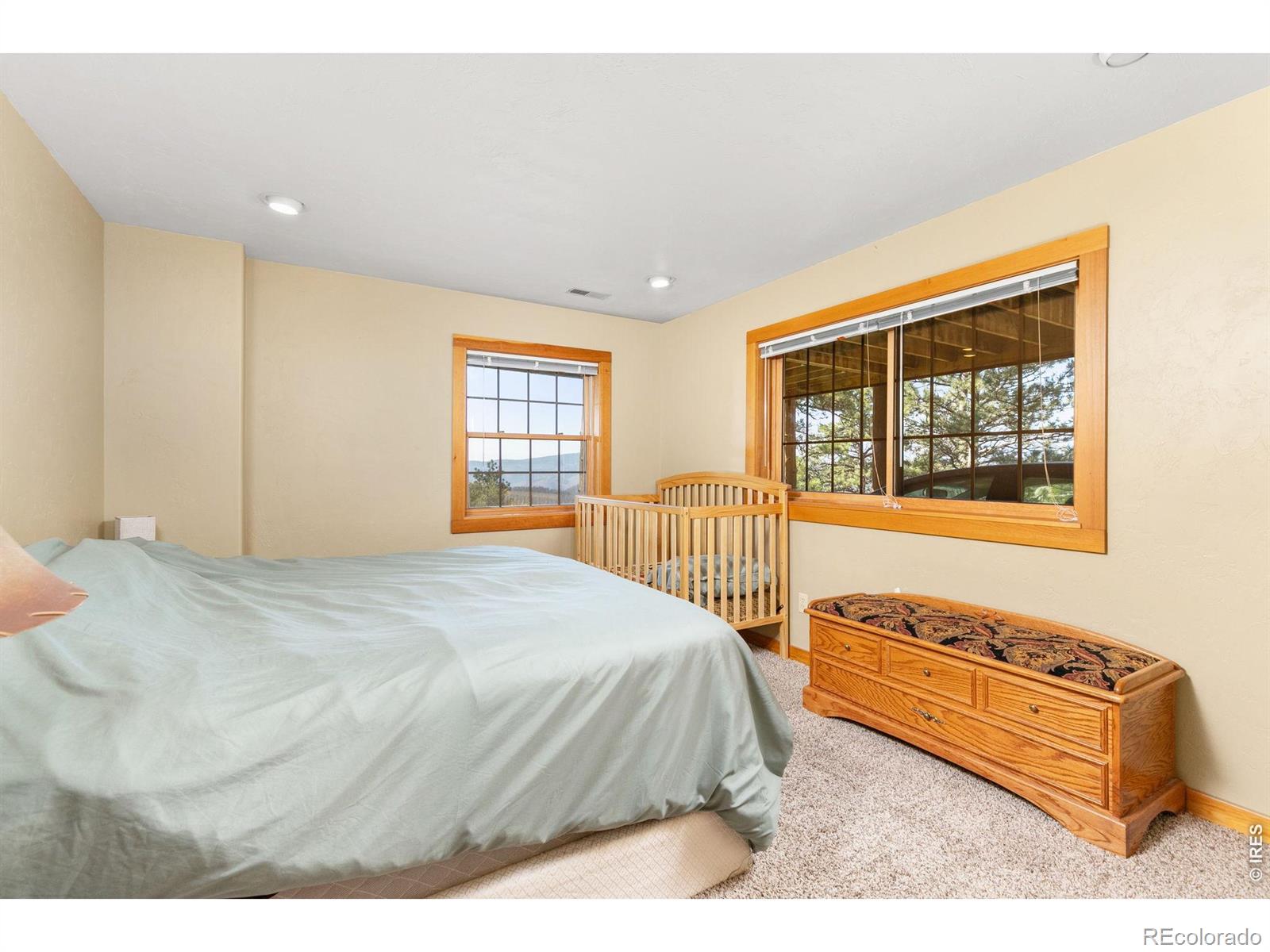 MLS Image #24 for 274  iron mountain drive,livermore, Colorado