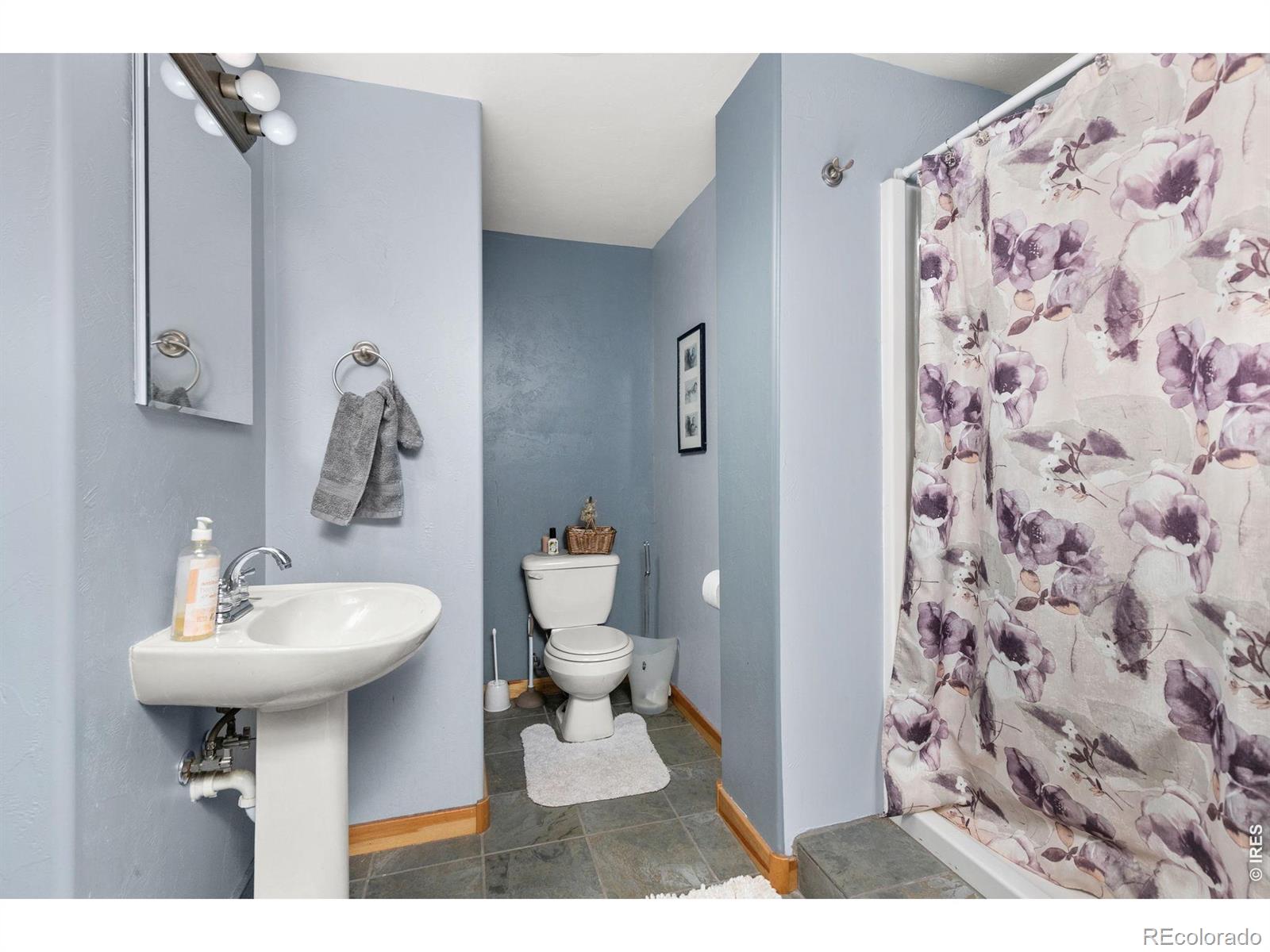 MLS Image #30 for 274  iron mountain drive,livermore, Colorado