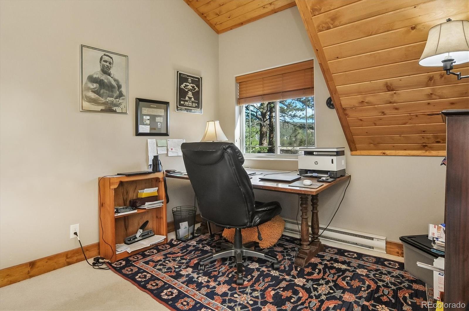 MLS Image #22 for 16602  county road 289 ,nathrop, Colorado