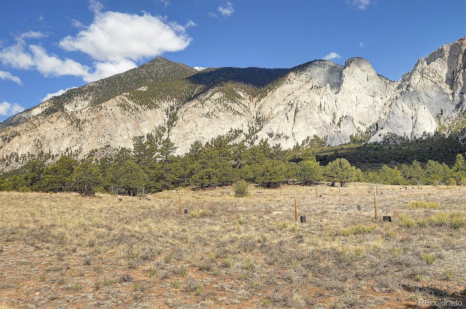 MLS Image #36 for 16602  county road 289 ,nathrop, Colorado