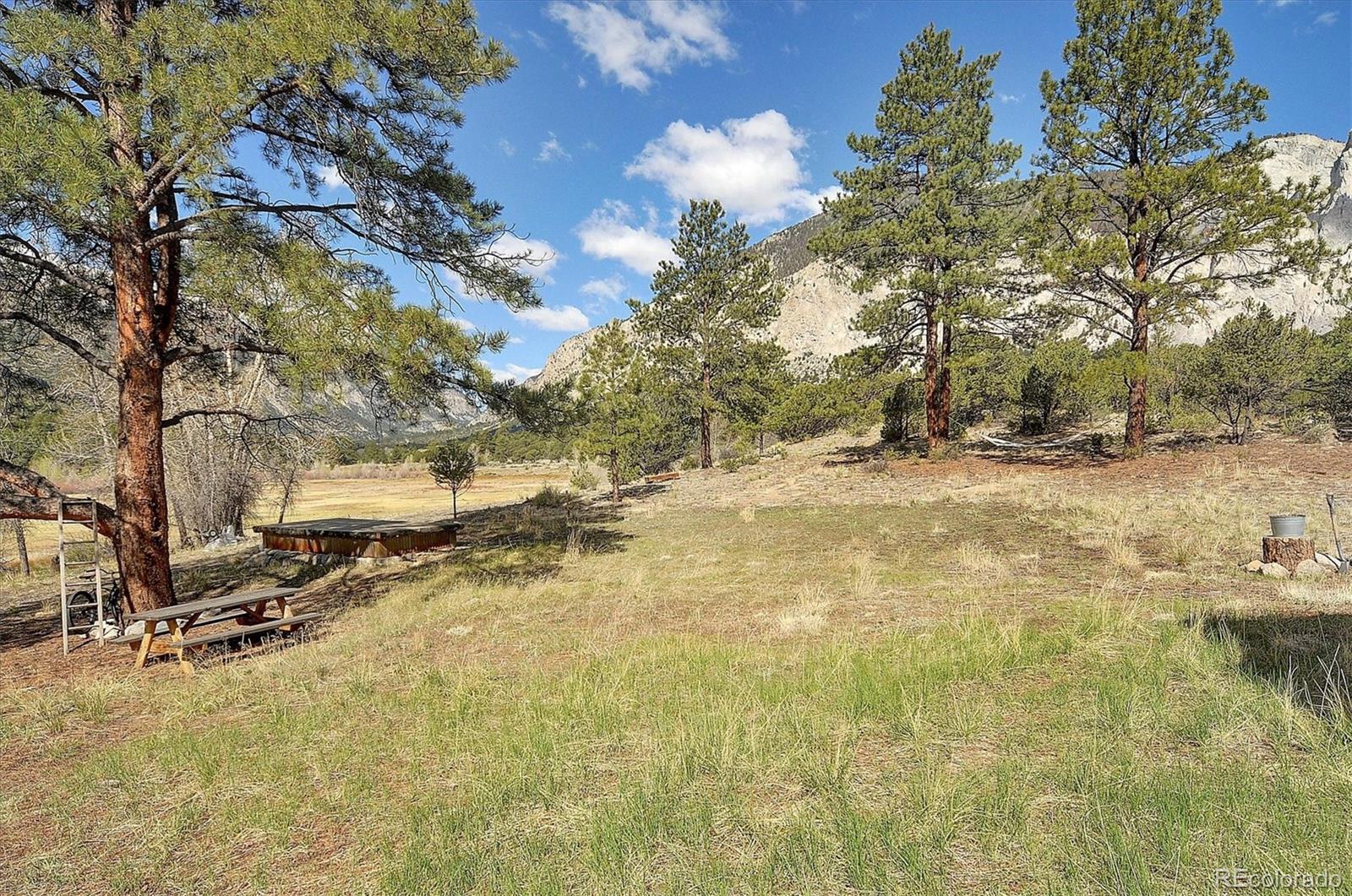MLS Image #38 for 16602  county road 289 ,nathrop, Colorado
