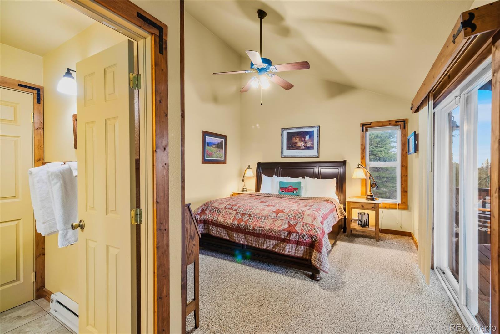MLS Image #17 for 1416  bonell drive,fairplay, Colorado