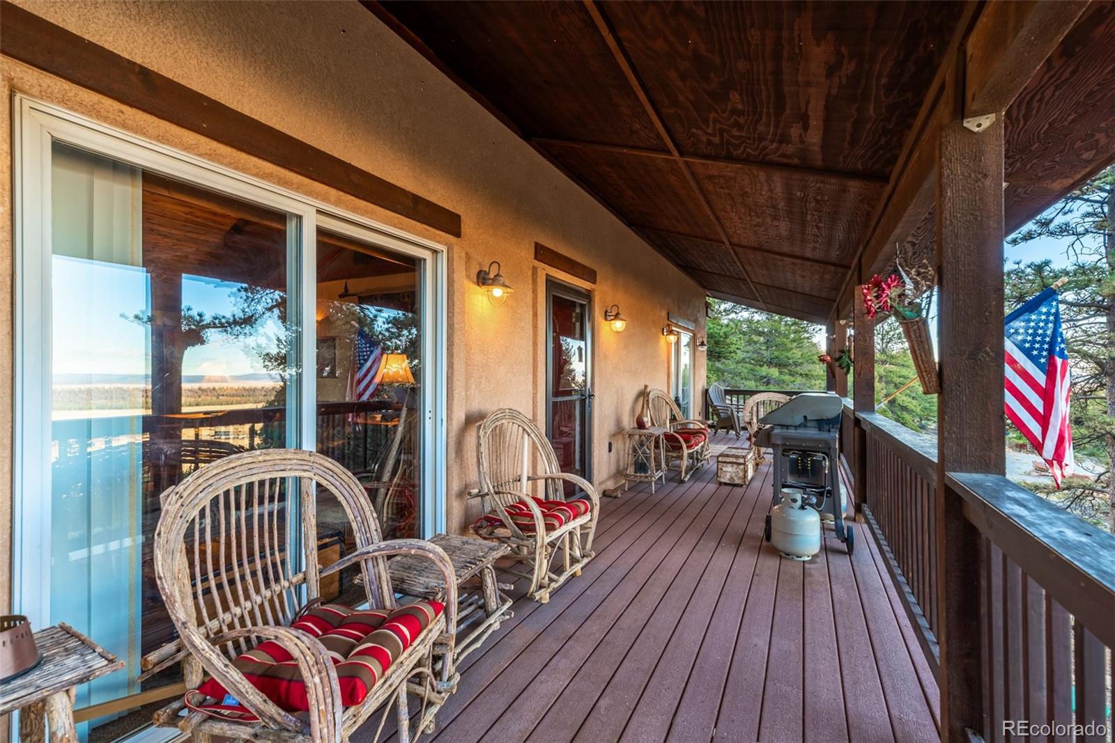 MLS Image #3 for 1416  bonell drive,fairplay, Colorado