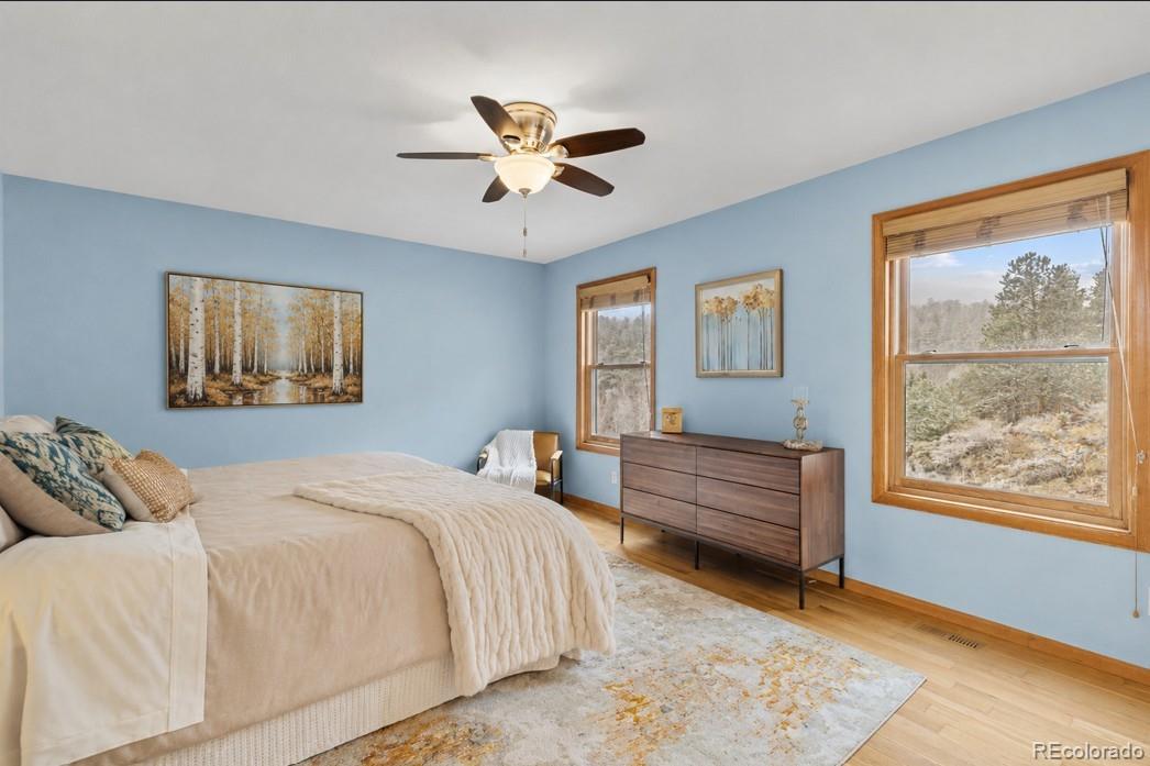 MLS Image #12 for 745 n pine drive,bailey, Colorado