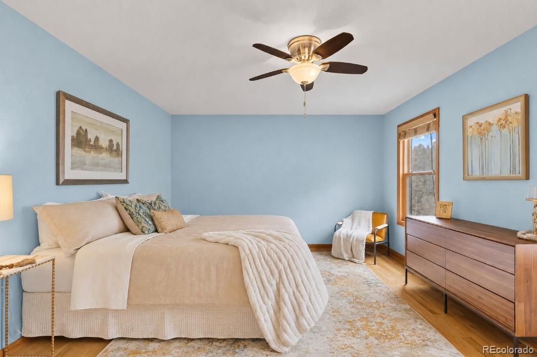 MLS Image #13 for 745 n pine drive,bailey, Colorado