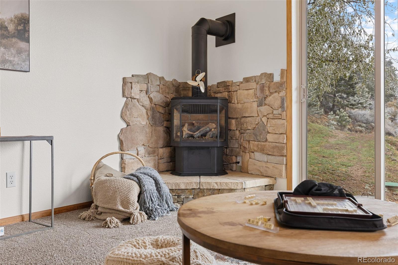 MLS Image #20 for 745 n pine drive,bailey, Colorado