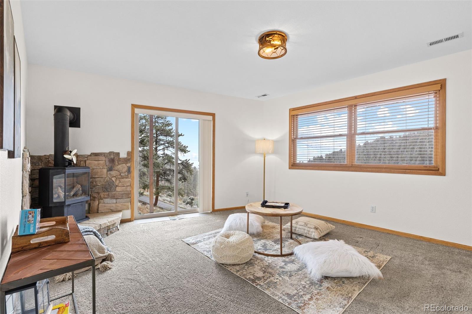 MLS Image #22 for 745 n pine drive,bailey, Colorado