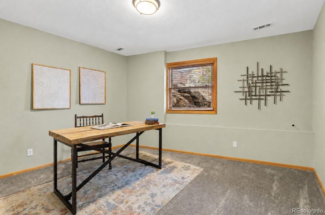 MLS Image #27 for 745 n pine drive,bailey, Colorado