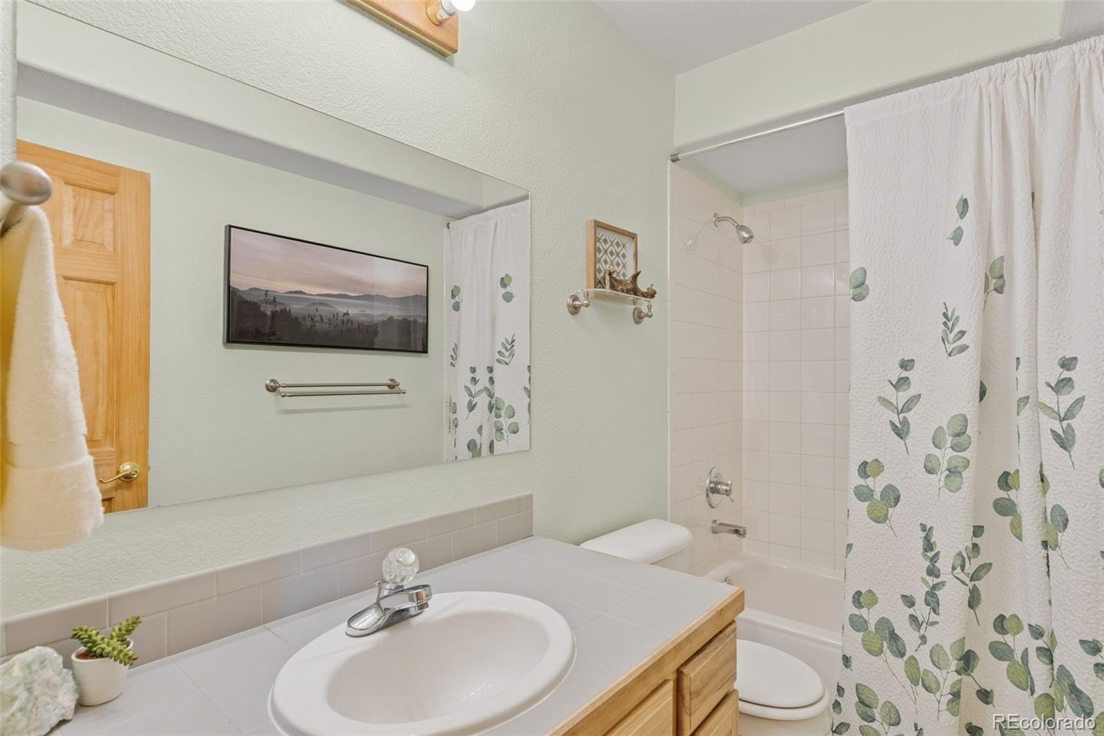 MLS Image #29 for 745 n pine drive,bailey, Colorado