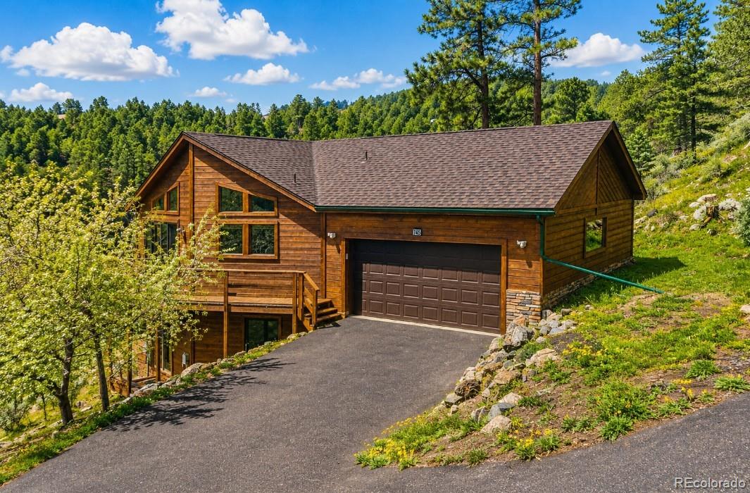MLS Image #4 for 745 n pine drive,bailey, Colorado