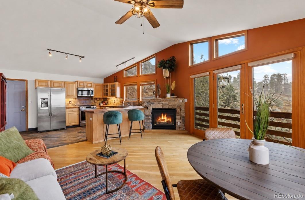 MLS Image #5 for 745 n pine drive,bailey, Colorado