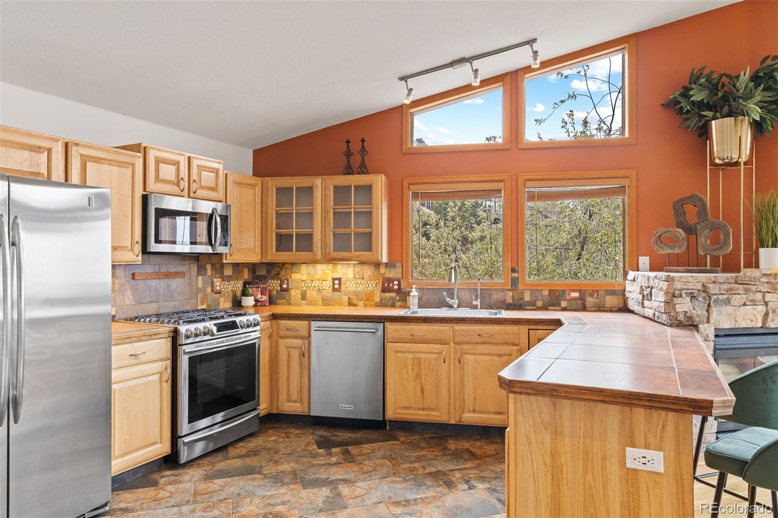 MLS Image #9 for 745 n pine drive,bailey, Colorado