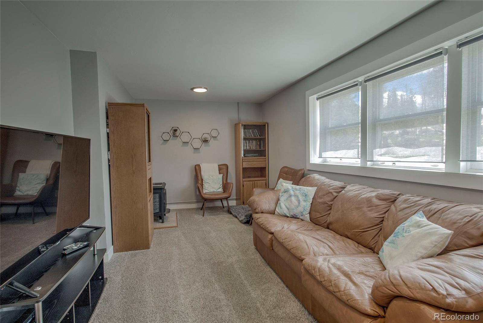 MLS Image #21 for 472  ryan gulch road,silverthorne, Colorado