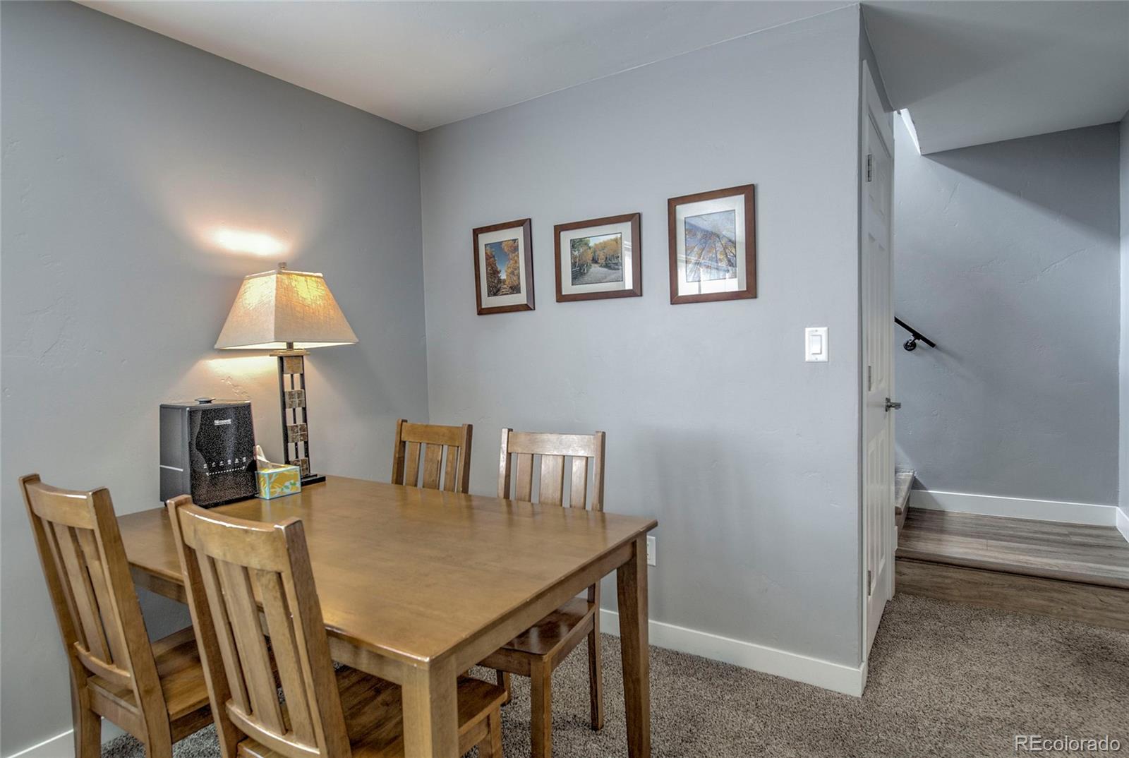 MLS Image #22 for 472  ryan gulch road,silverthorne, Colorado