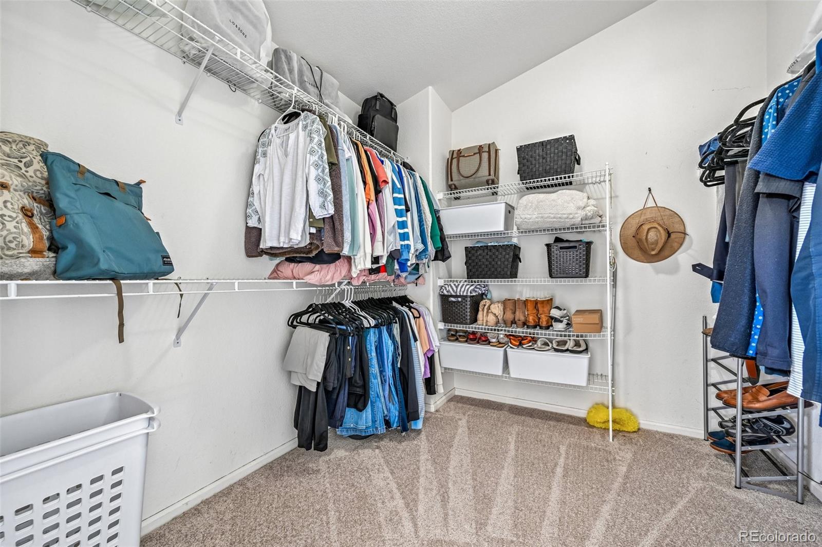 MLS Image #23 for 1167  berganot trail,castle pines, Colorado