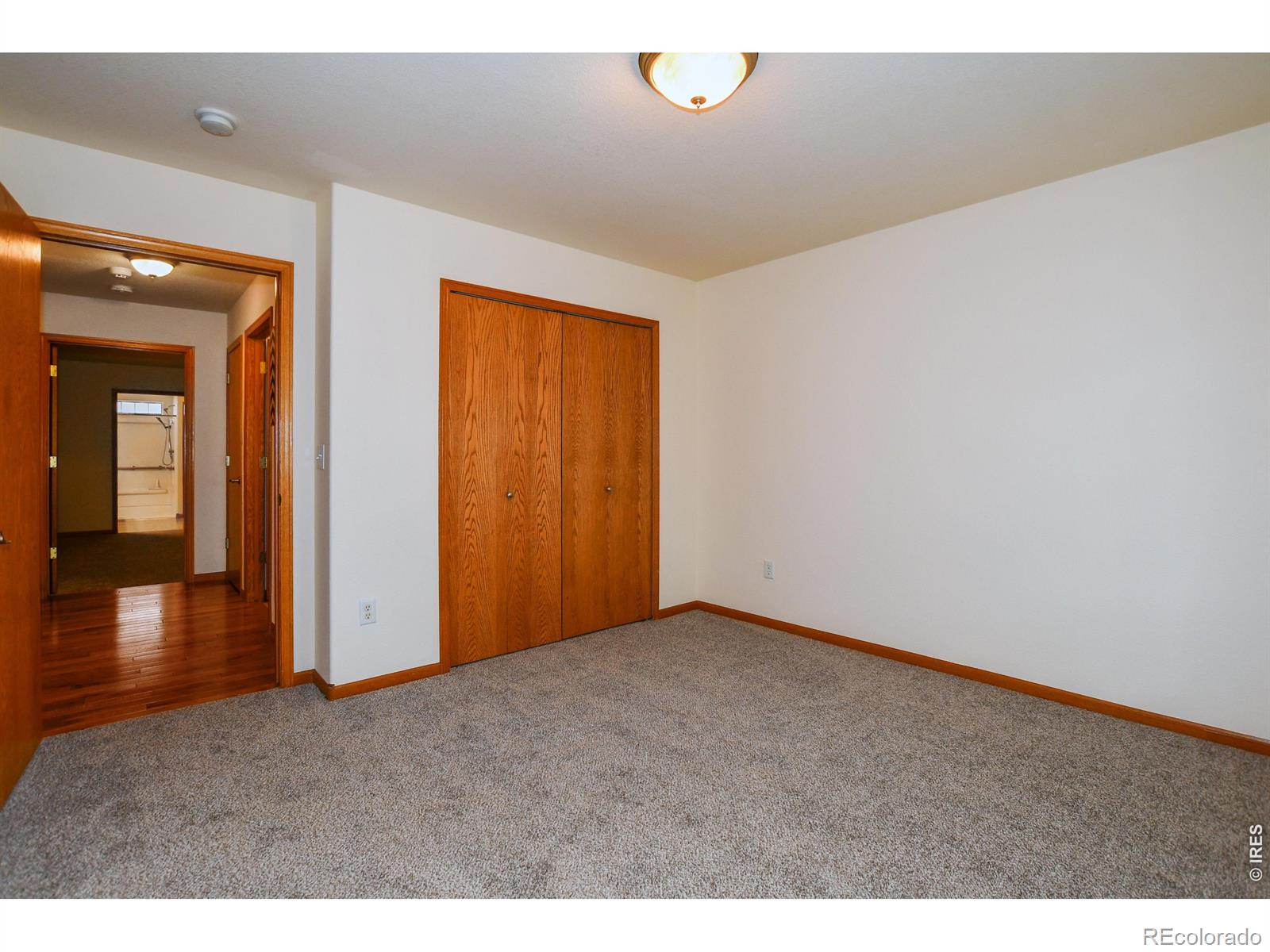 MLS Image #24 for 1505  dryland street,loveland, Colorado