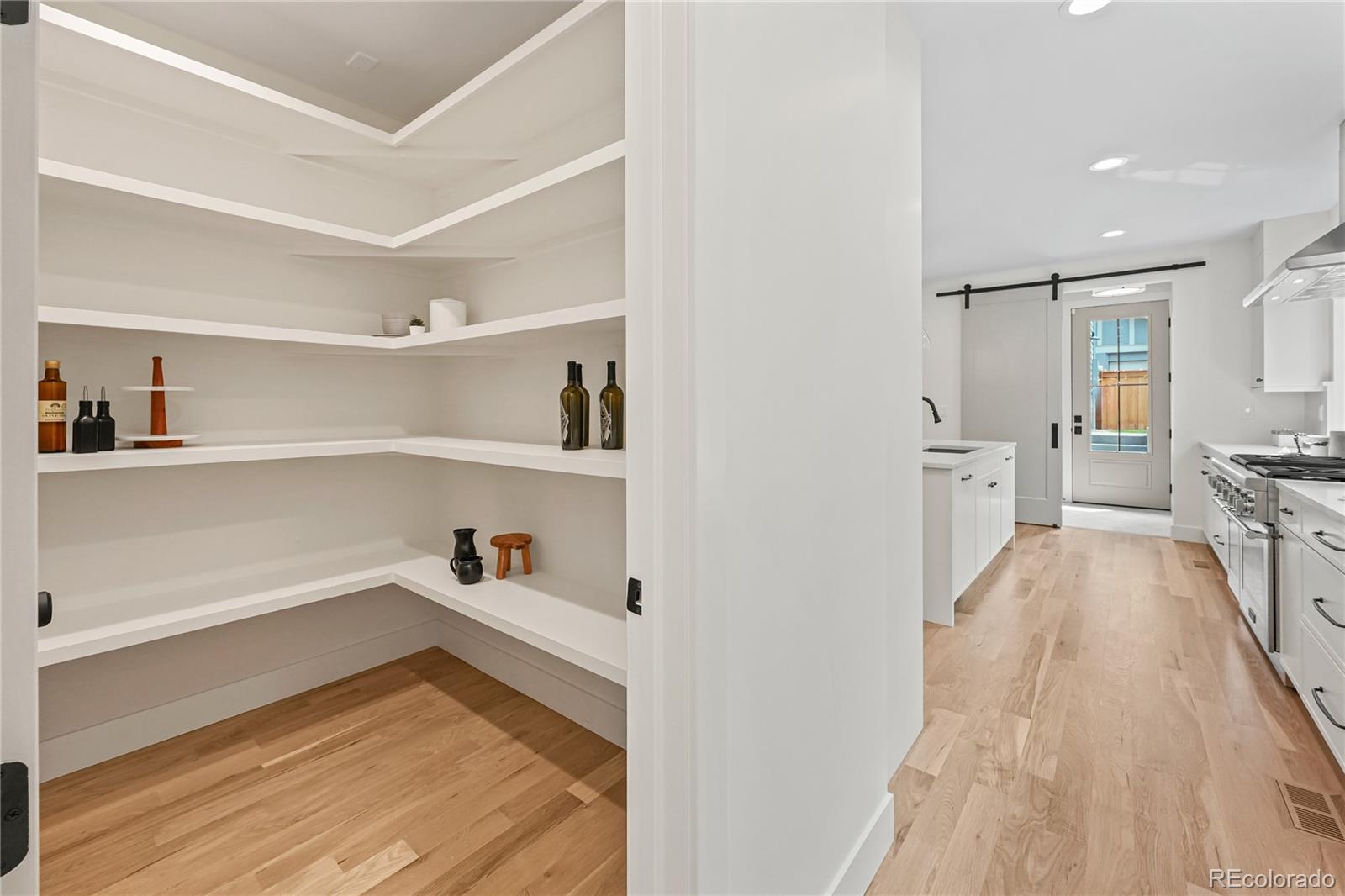 MLS Image #7 for 1060 s ogden street,denver, Colorado