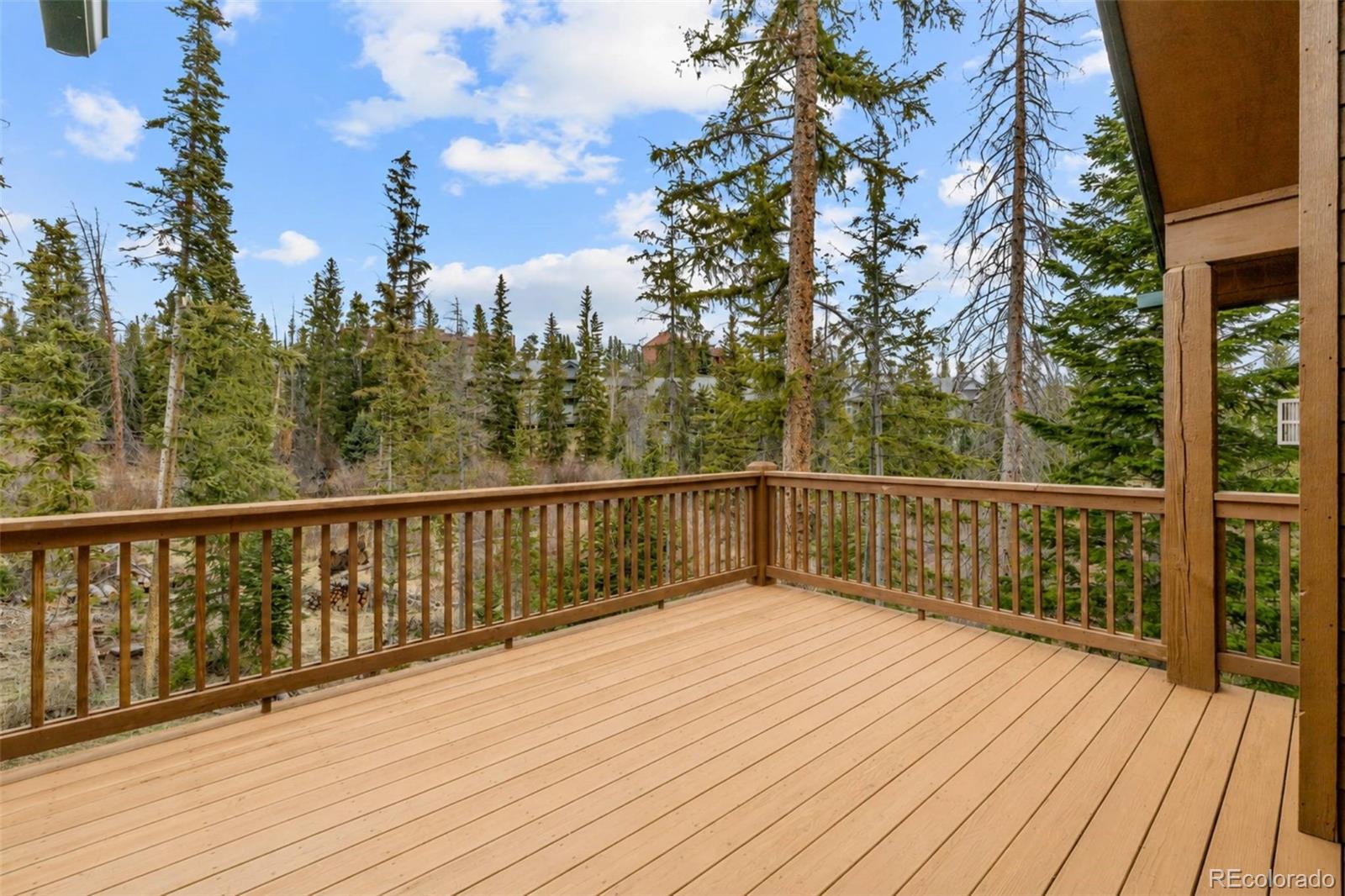 MLS Image #16 for 91795  ryan gulch road,silverthorne, Colorado
