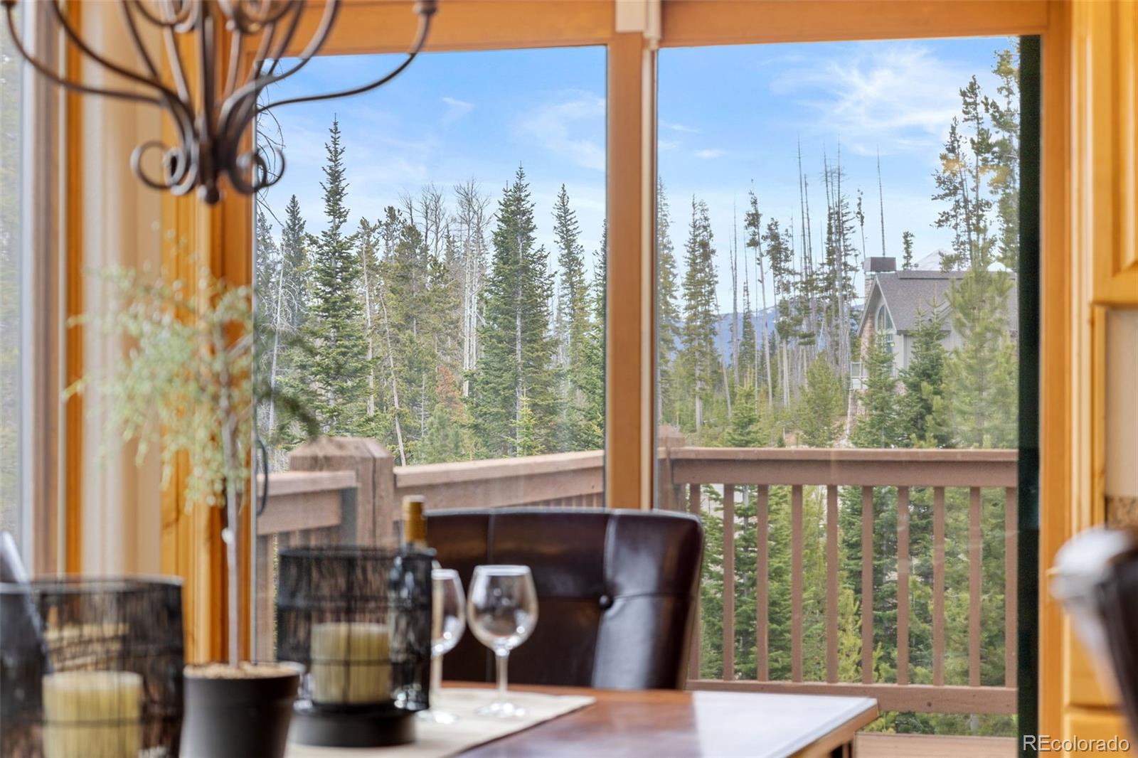 MLS Image #21 for 91795  ryan gulch road,silverthorne, Colorado