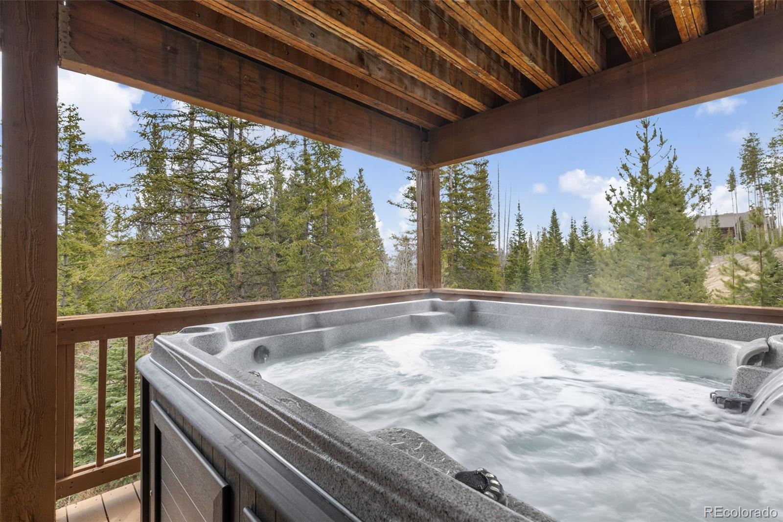 MLS Image #4 for 91795  ryan gulch road,silverthorne, Colorado
