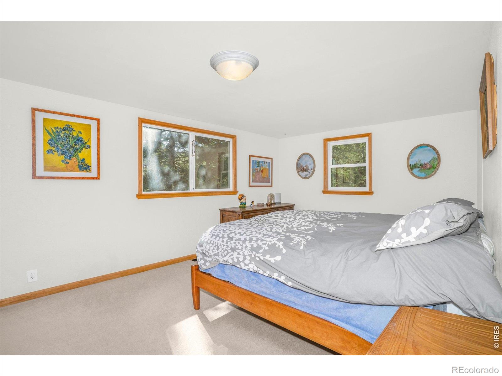 MLS Image #13 for 527  hemlock drive,lyons, Colorado