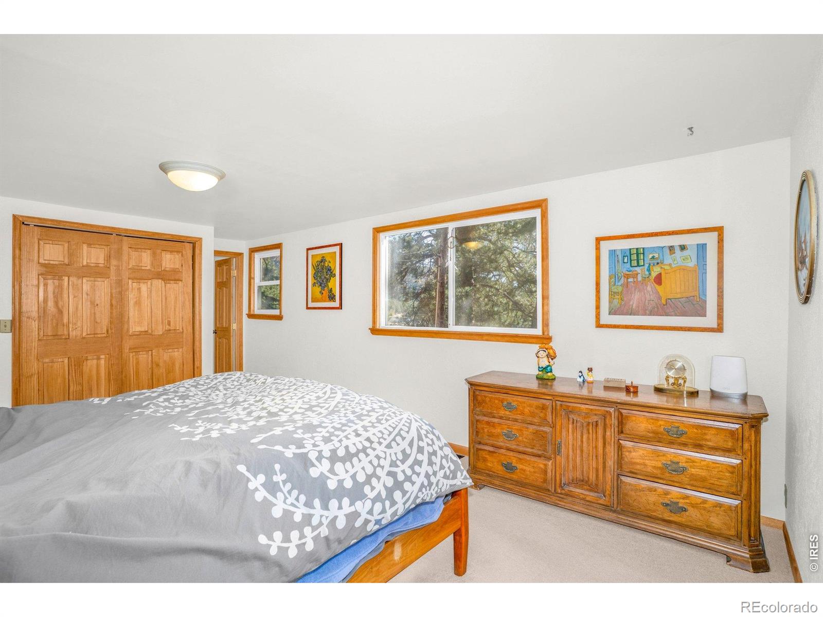 MLS Image #14 for 527  hemlock drive,lyons, Colorado