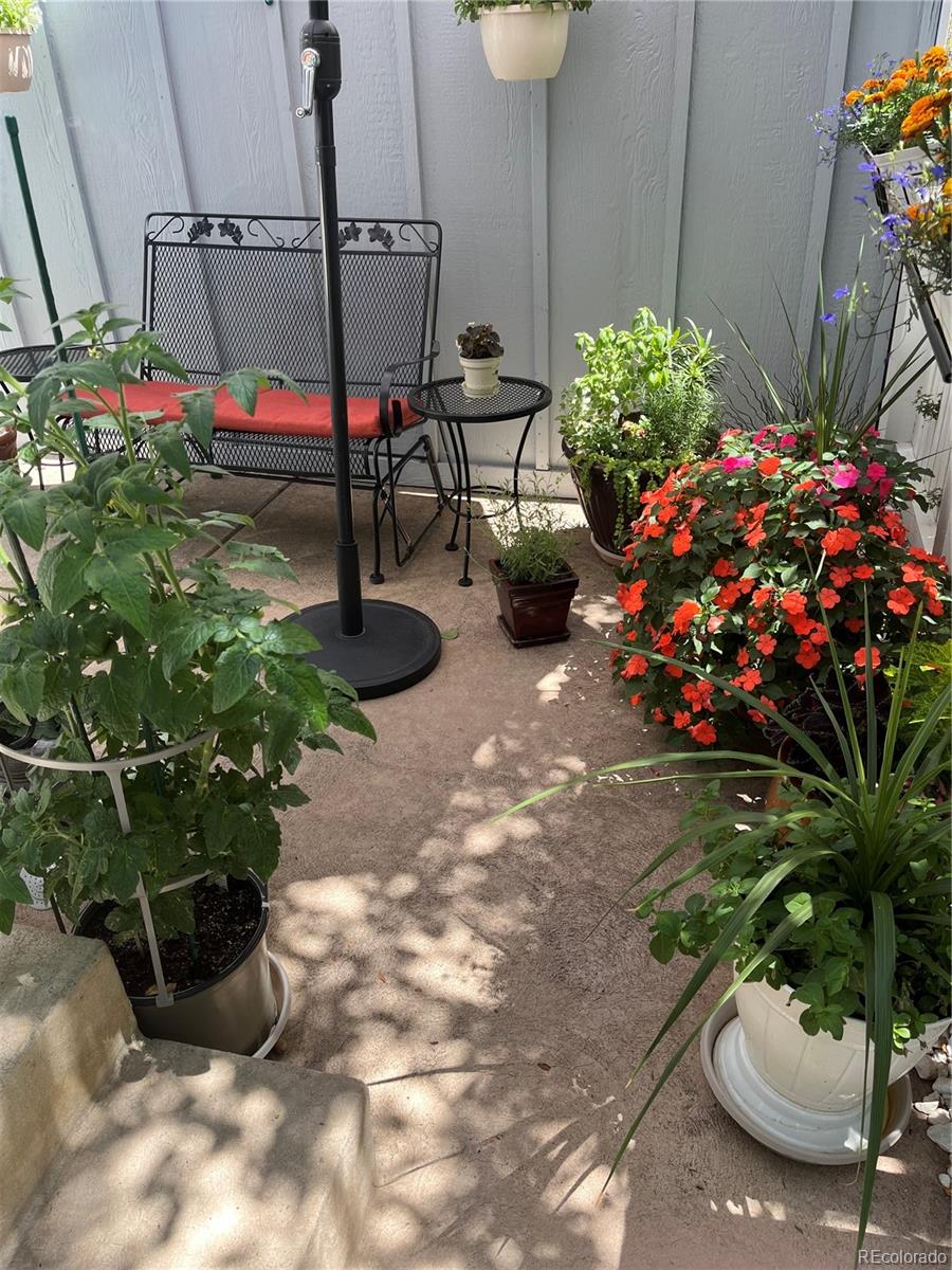 MLS Image #7 for 6838  los reyes circle,colorado springs, Colorado