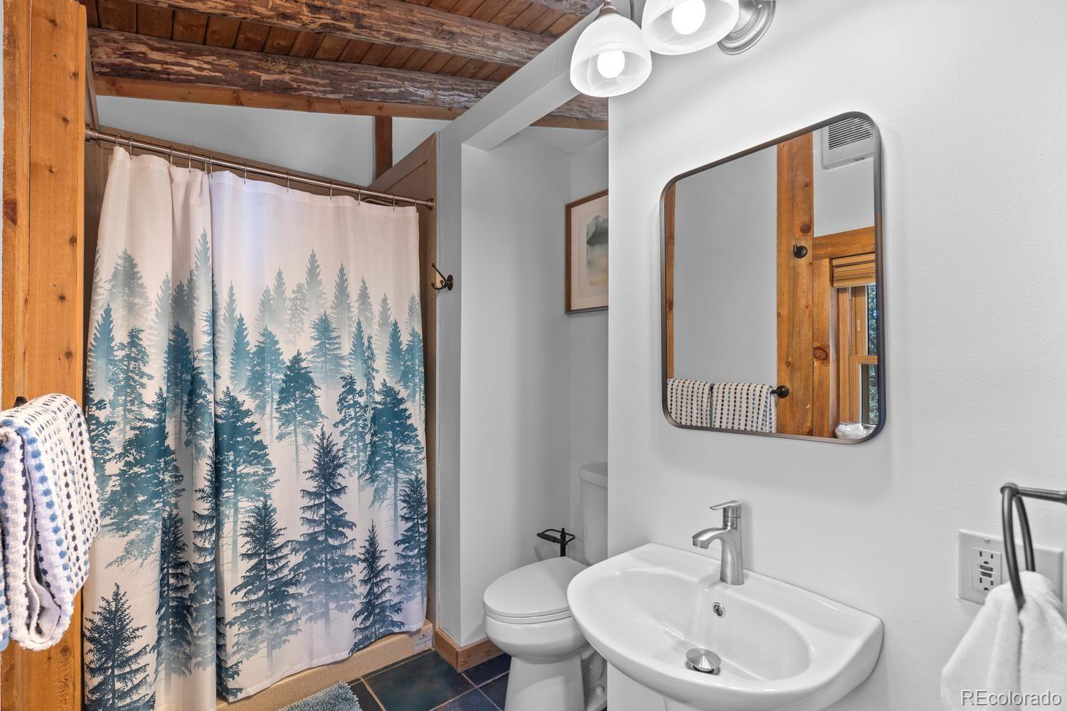 MLS Image #23 for 77  gigi lane,evergreen, Colorado