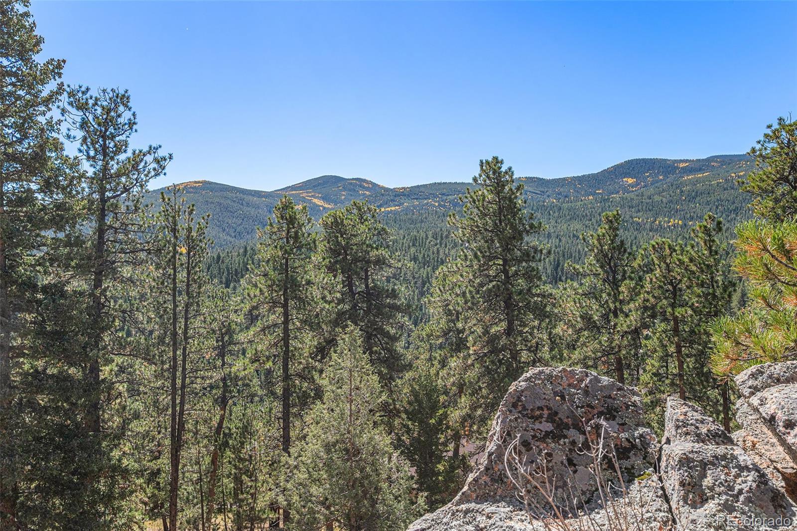 MLS Image #47 for 77  gigi lane,evergreen, Colorado