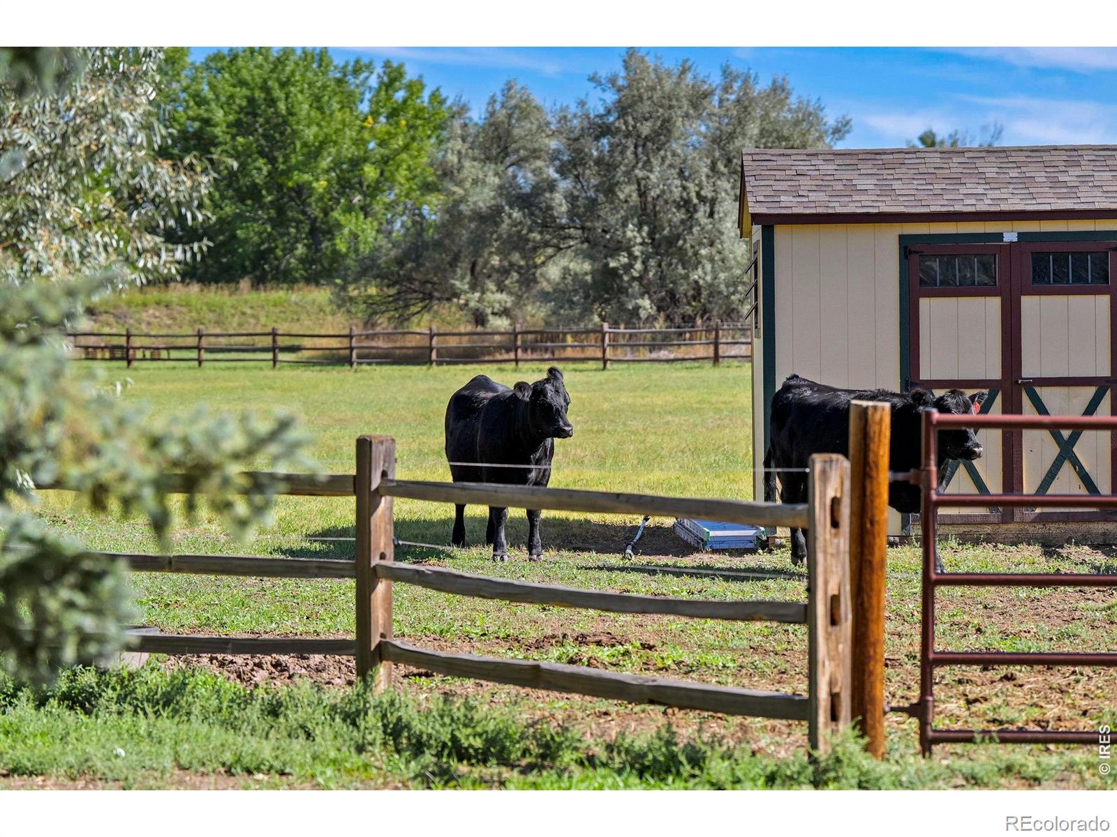 MLS Image #43 for 5524  trail point,fort collins, Colorado