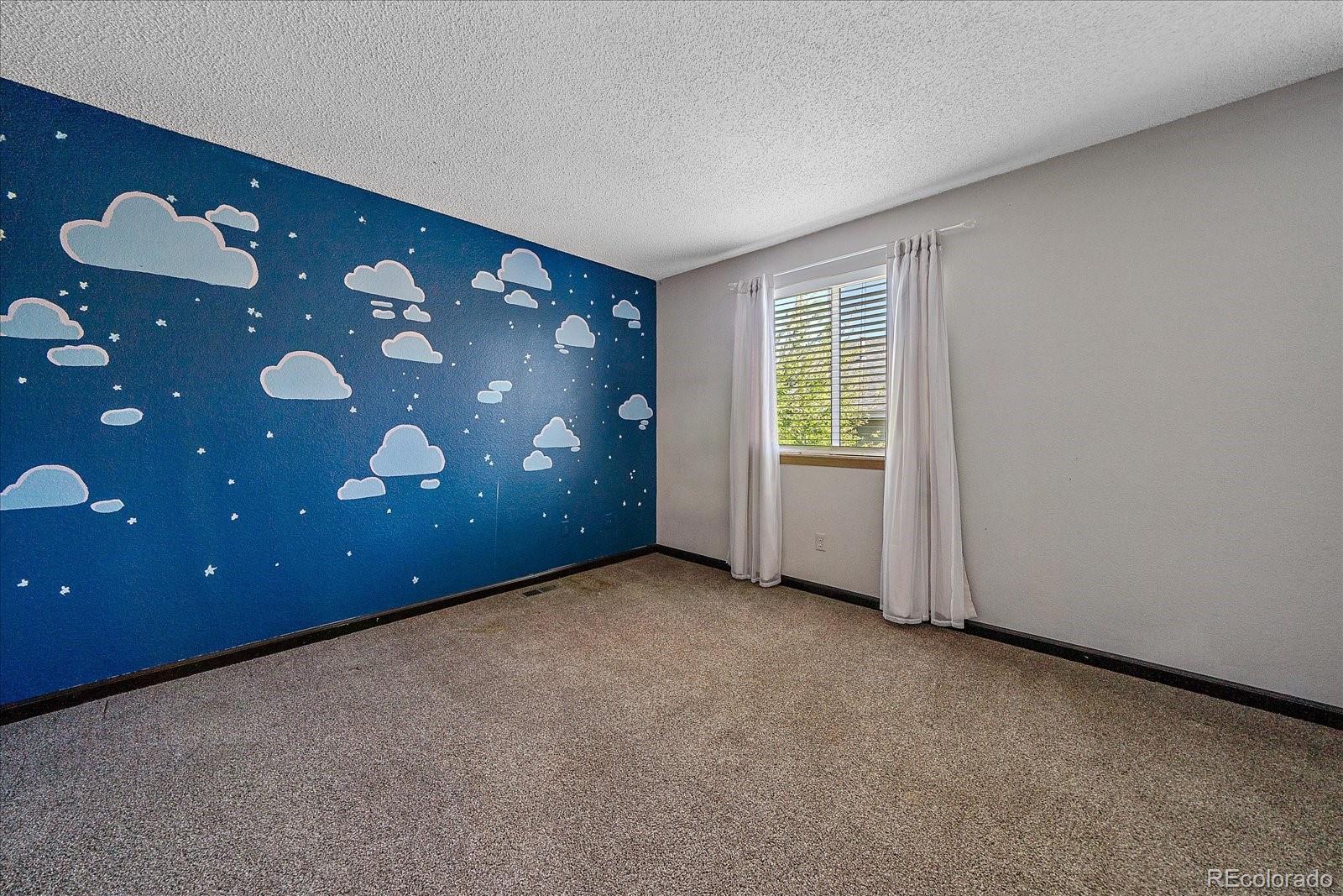 MLS Image #18 for 8703  redwing avenue,littleton, Colorado