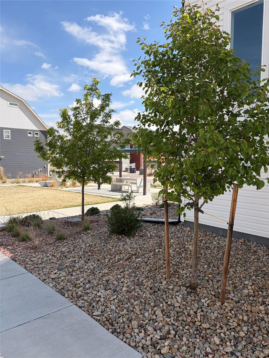 MLS Image #32 for 18211 e 51st avenue,denver, Colorado