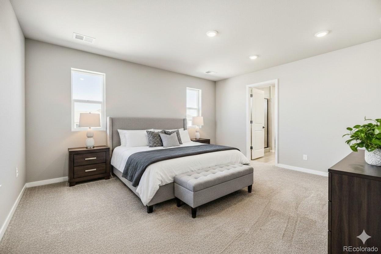 MLS Image #11 for 13749  daffodil point,parker, Colorado