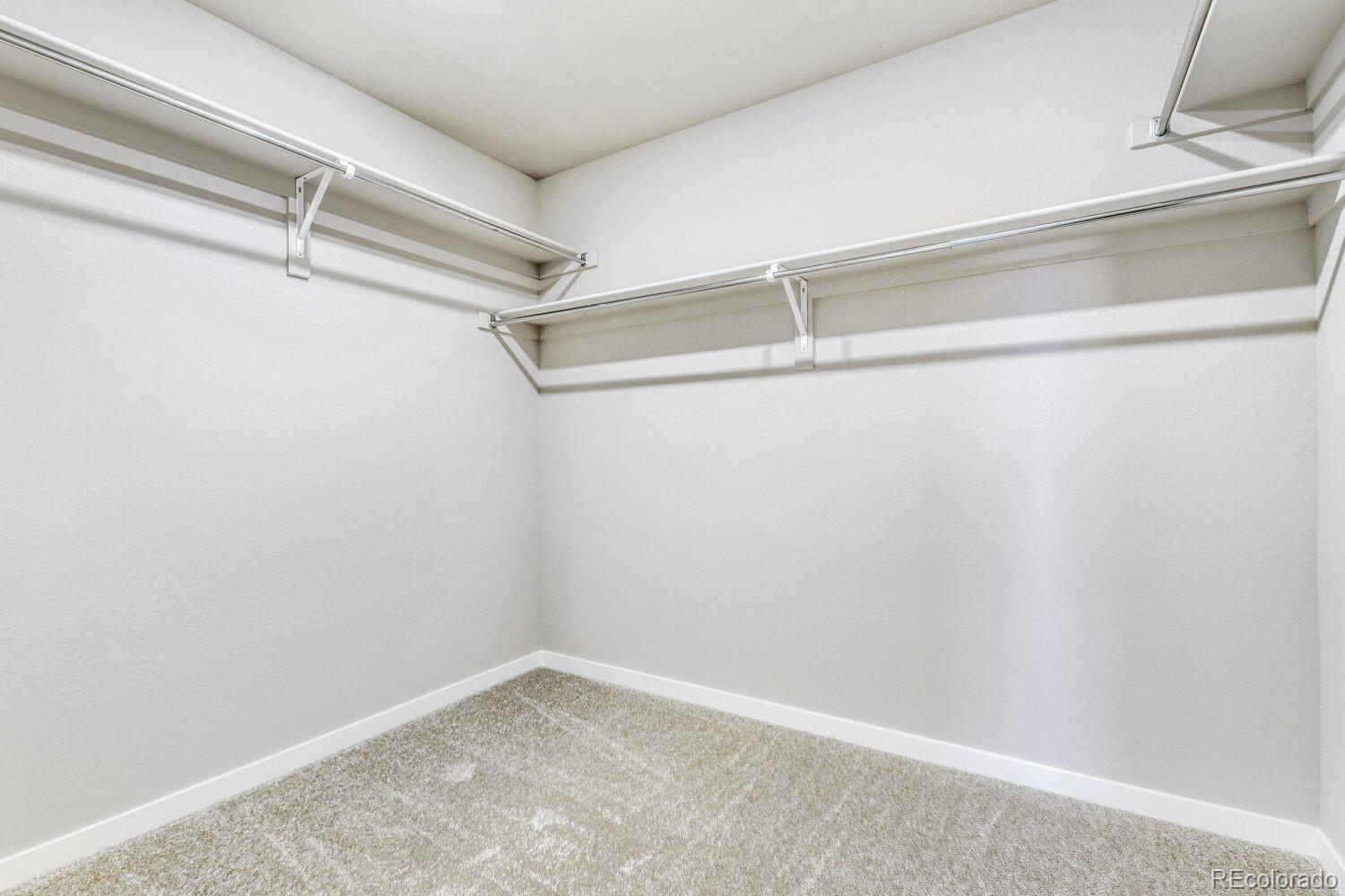 MLS Image #15 for 13749  daffodil point,parker, Colorado