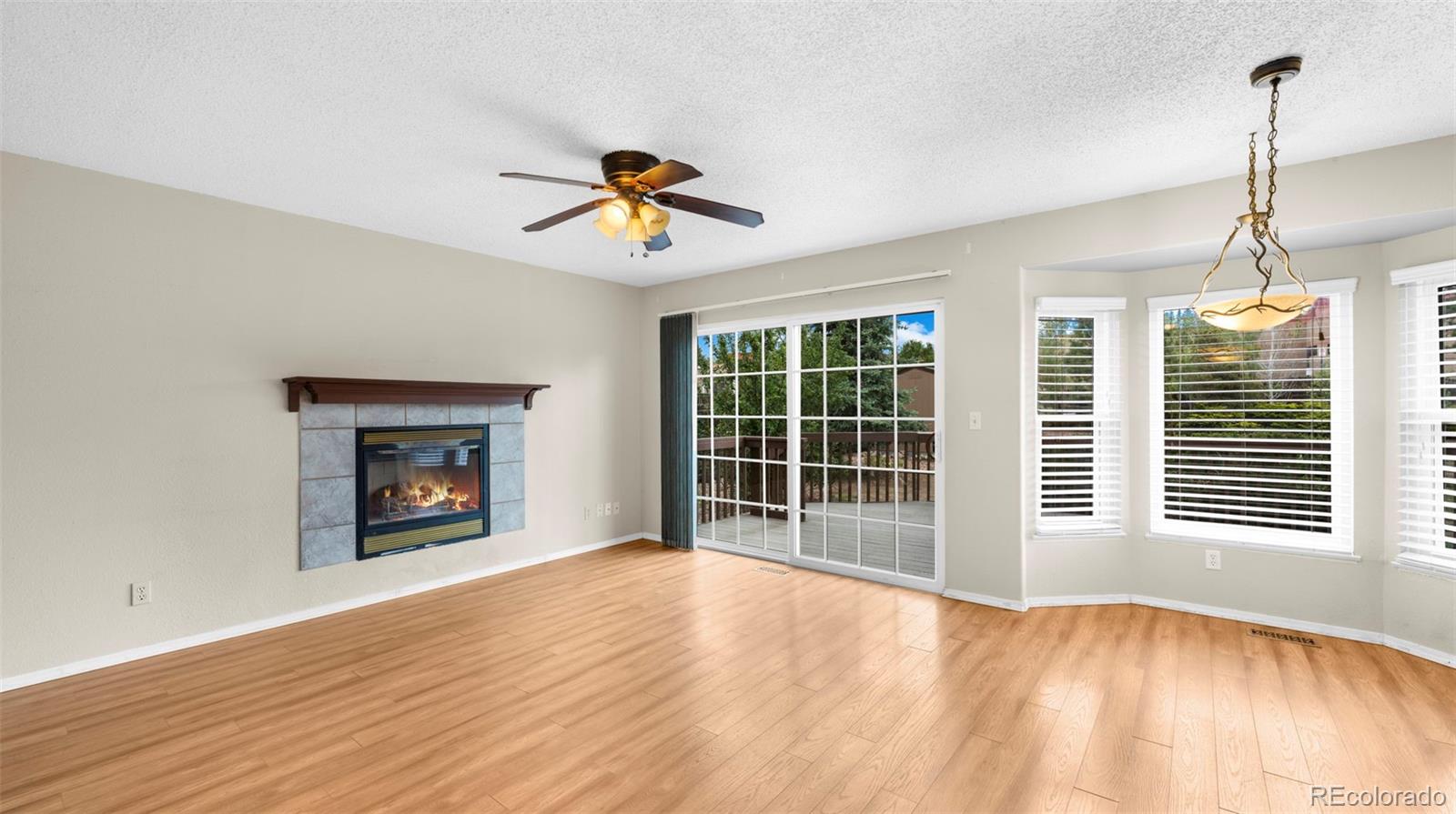 MLS Image #10 for 5040  culpepper court,colorado springs, Colorado