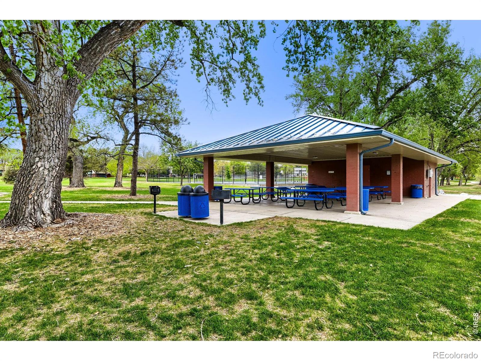 MLS Image #35 for 1182  birch street,broomfield, Colorado