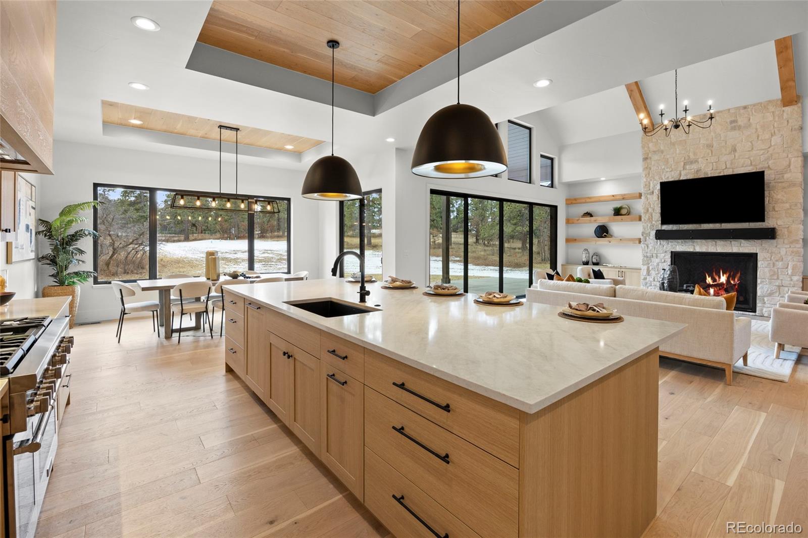 MLS Image #5 for 13171  frannys way,parker, Colorado