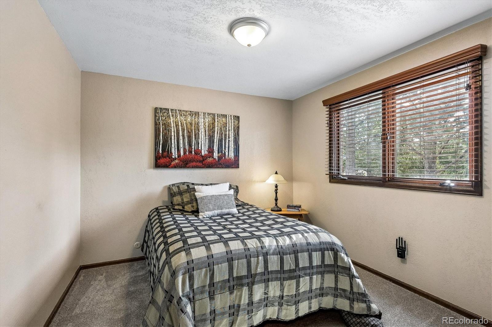 MLS Image #15 for 8488  lakeview drive,parker, Colorado