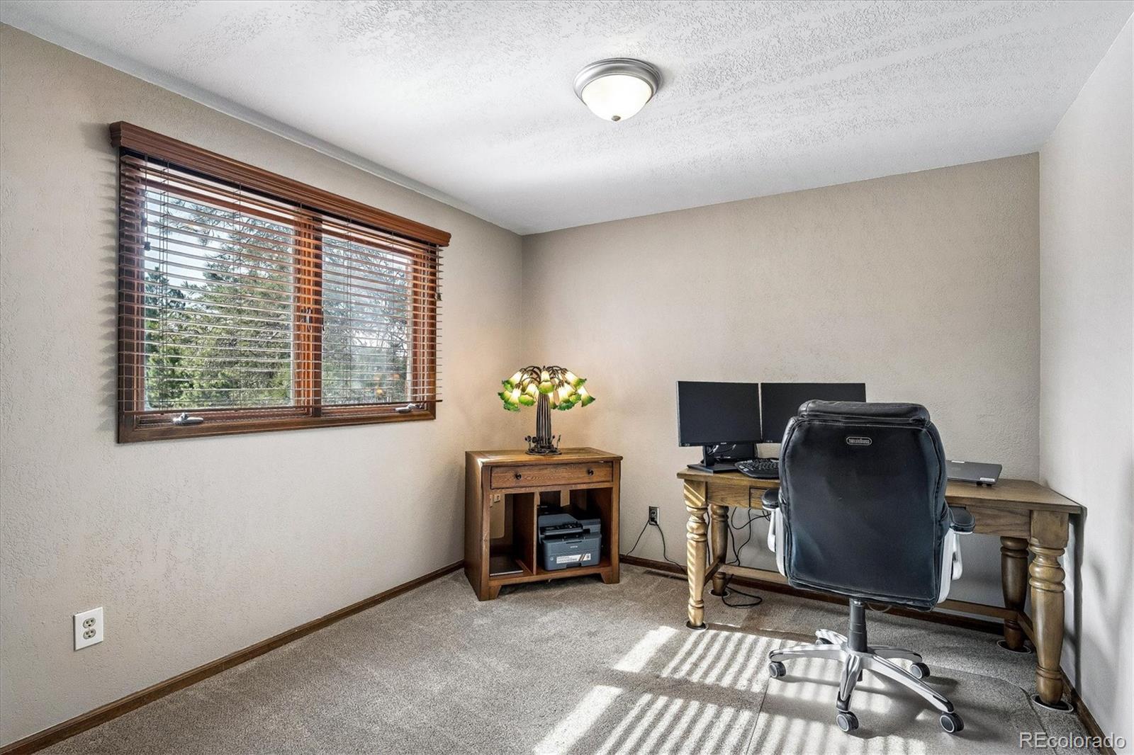 MLS Image #16 for 8488  lakeview drive,parker, Colorado