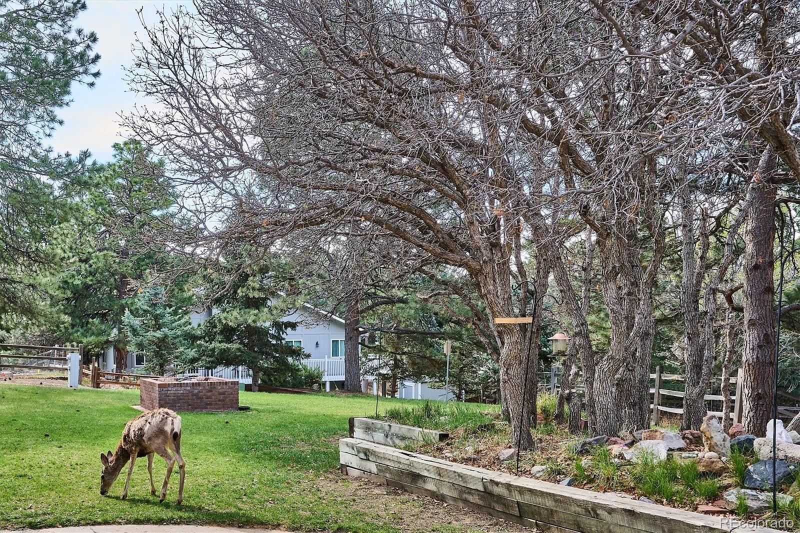 MLS Image #28 for 8488  lakeview drive,parker, Colorado