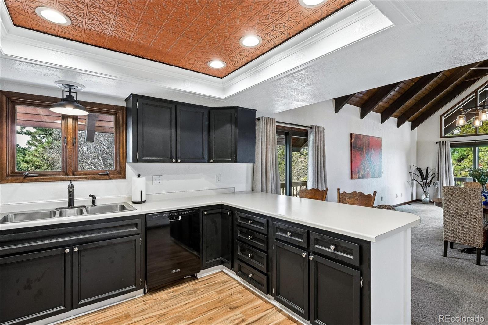 MLS Image #9 for 8488  lakeview drive,parker, Colorado