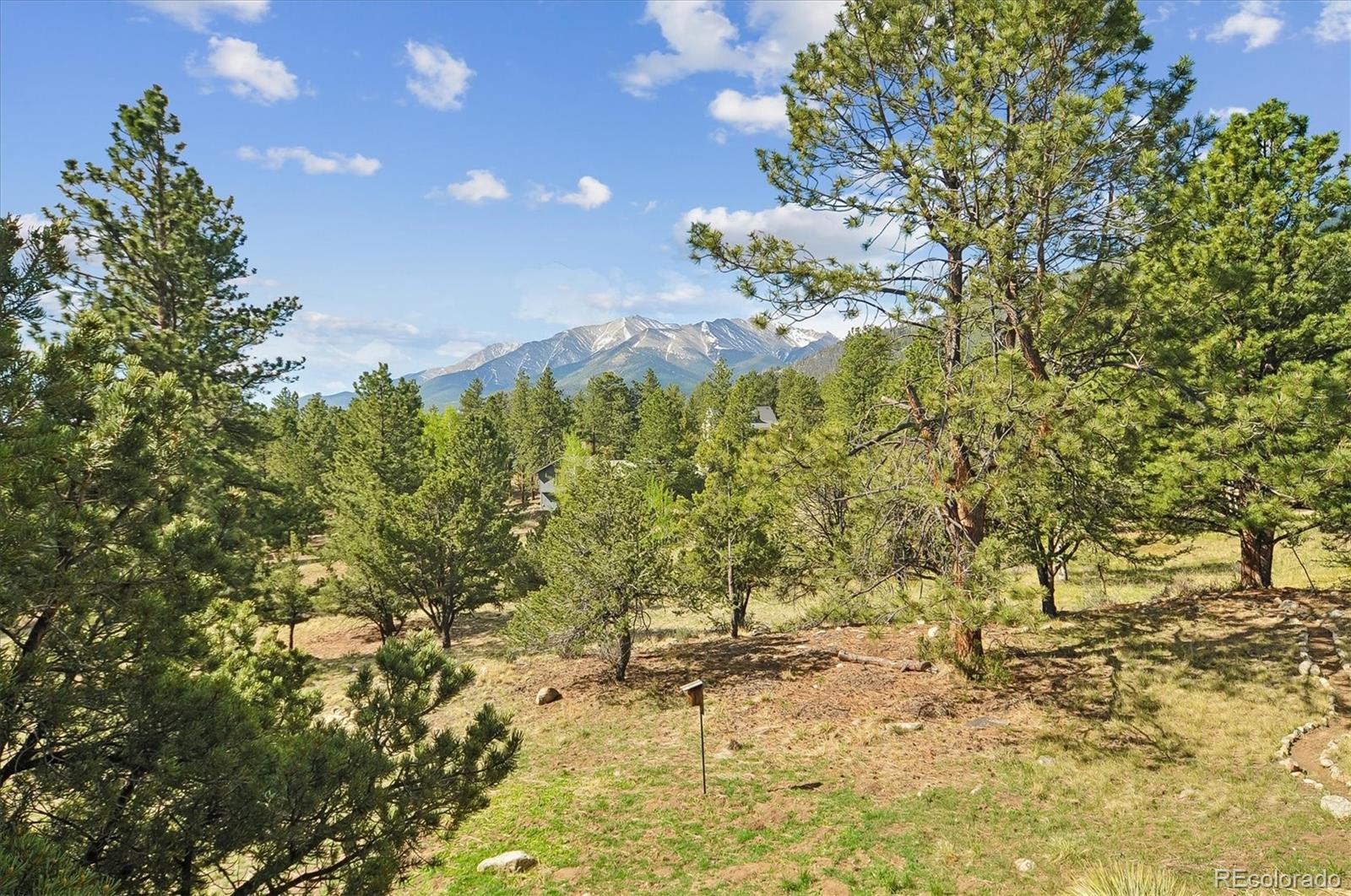 MLS Image #46 for 18220  alta vista drive ,buena vista, Colorado