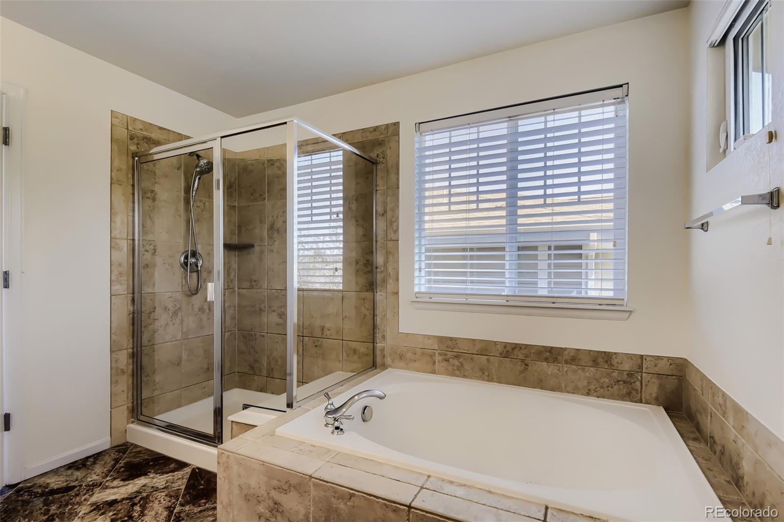 MLS Image #15 for 10805  hickory ridge street,highlands ranch, Colorado