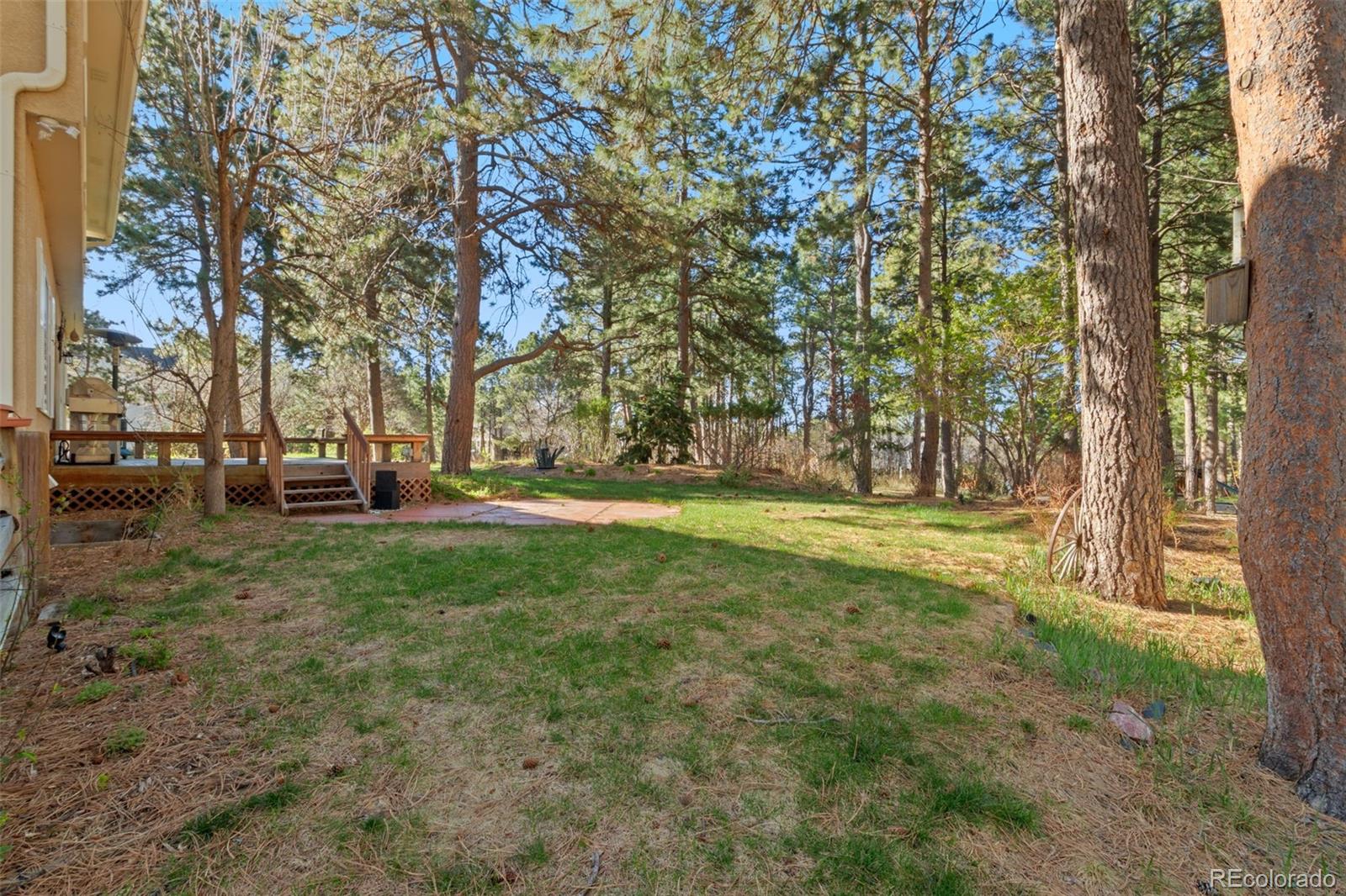 MLS Image #42 for 19850  indian summer lane,monument, Colorado