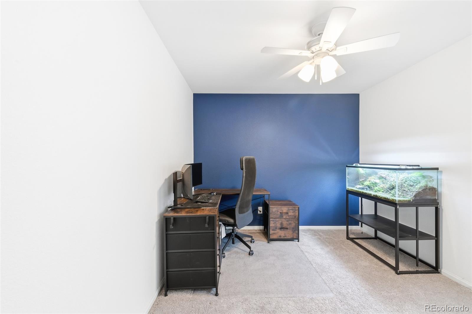 MLS Image #16 for 14047  rock daisy street,parker, Colorado