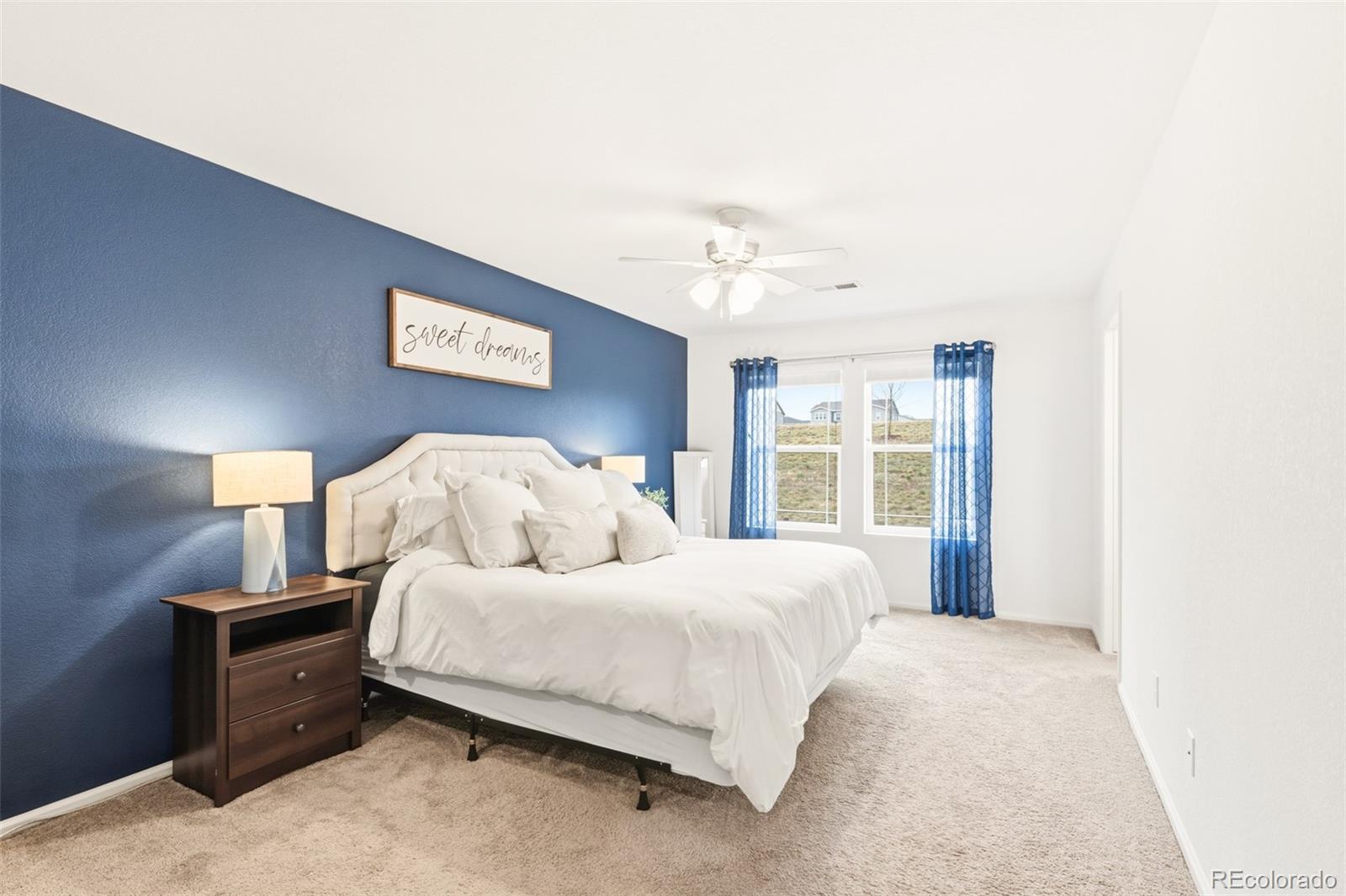MLS Image #17 for 14047  rock daisy street,parker, Colorado