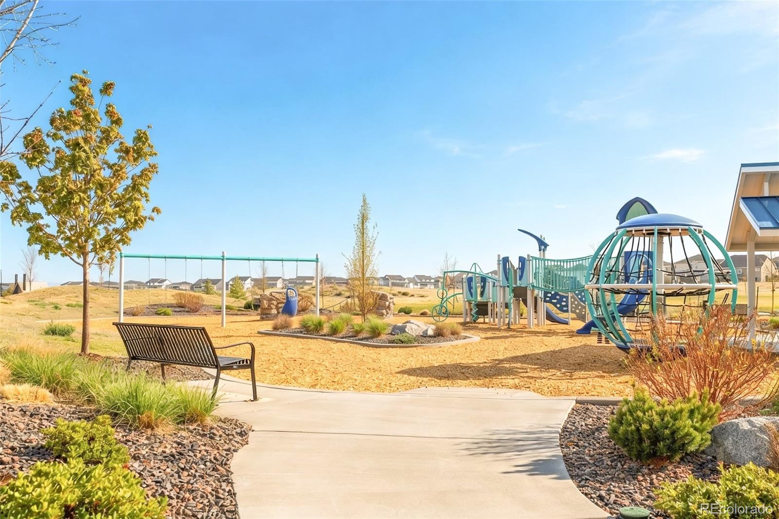 MLS Image #29 for 14047  rock daisy street,parker, Colorado